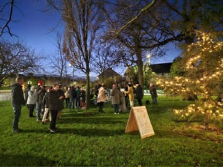 Clonskeagh Christmas Lights switch-on
