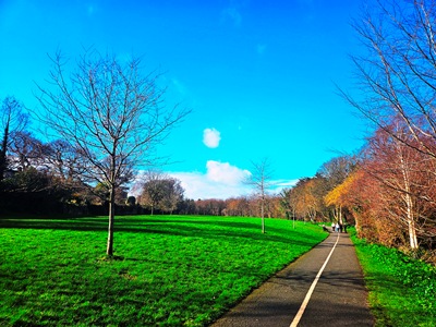 Panorama of the Dodder Greenway from Clonskeagh Bridge towards Milltown Bridge