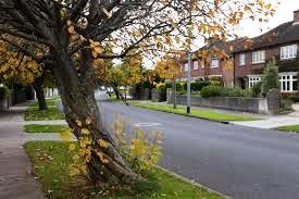 Clonskeagh streetscape